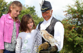 Girl holding barn owl at Mary Arden's Farm attraction