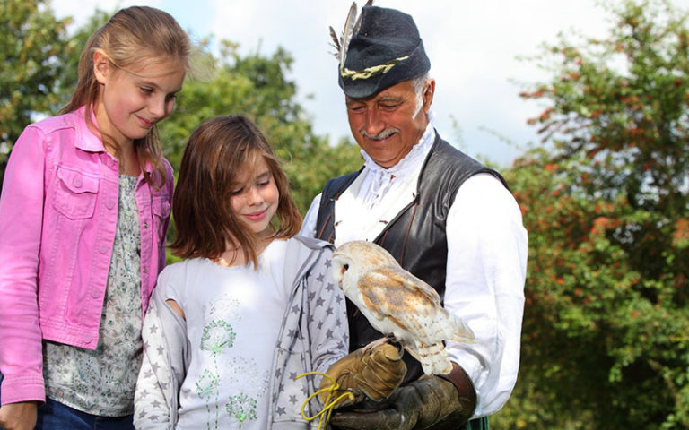 Girl holding barn owl at Mary Arden's Farm attraction